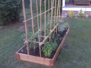 [Raised bed with trellis]