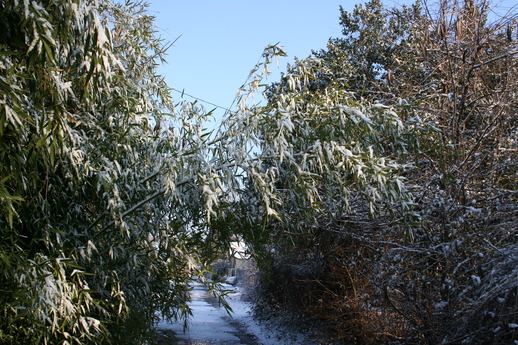 snow at 2422 south gaines