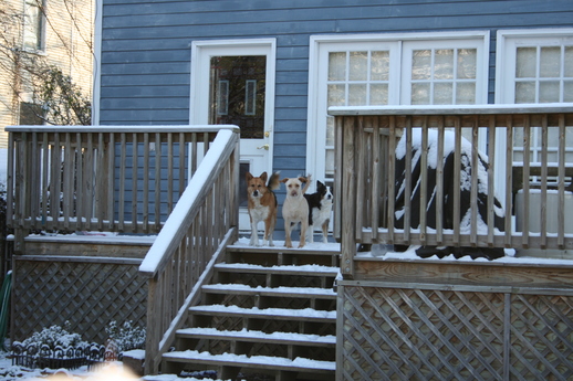 snow at 2422 south gaines