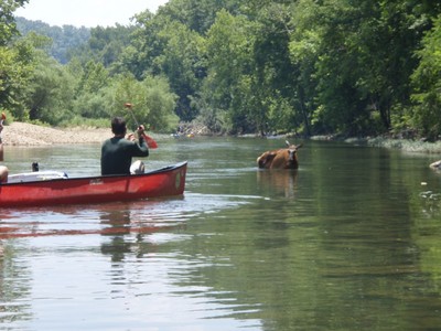 Buffalo River 2009