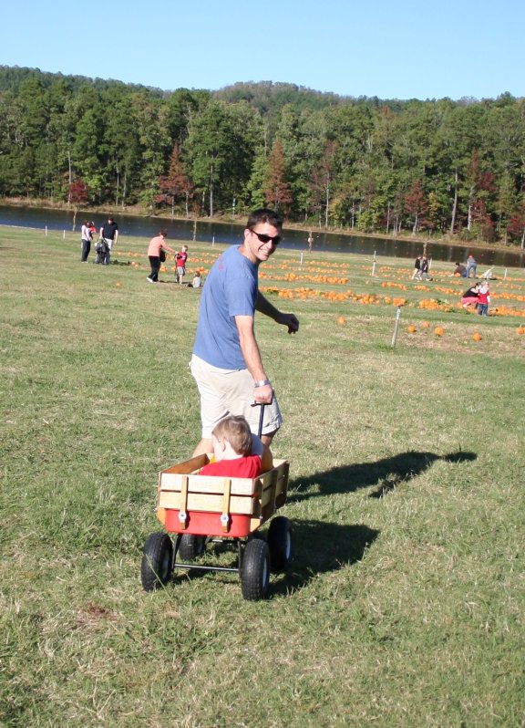 pumpkin picking